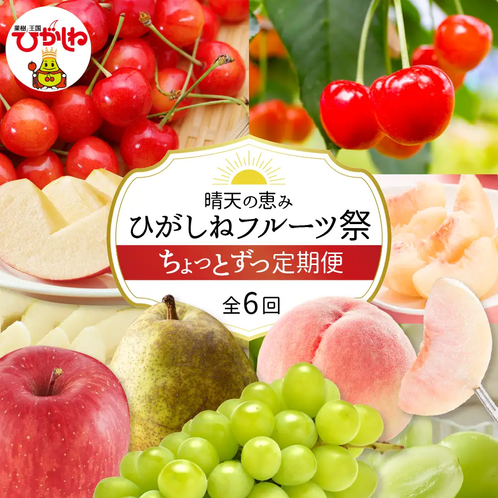2027年産 全6回 定期便 ひがしねフルーツ祭 ちょっとずつ 定期便
