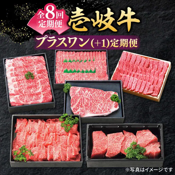 【全8回定期便】 特選 壱岐牛 プラスワン（＋1） 定期便 《壱岐市》【太陽商事】[JDL097] ステーキ サーロイン モモ 焼肉 すき焼き しゃぶしゃぶ 306000 306000円 30万円