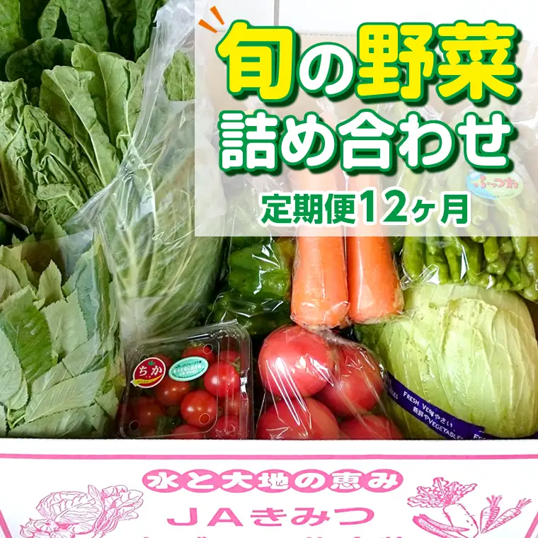 【定期便12ヶ月（2027年）】旬の野菜詰め合わせ