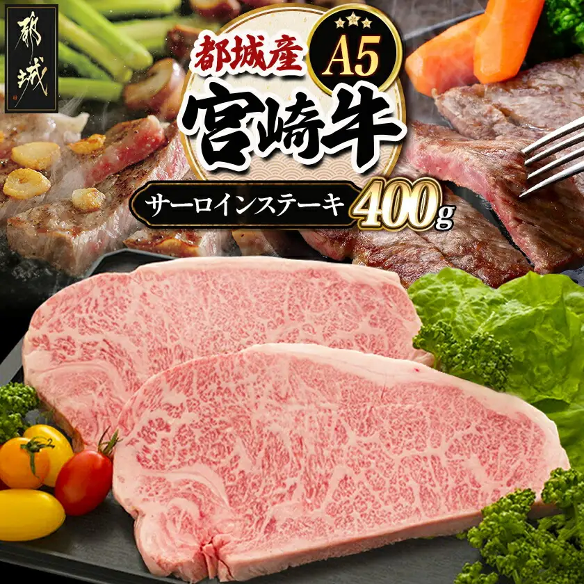 宮崎牛サーロインステーキ 200g×2枚【A5】〔AD-A0-002〕_(都城市) A5ランクの宮崎牛 5等級 肩ロース(200g) 2枚セット『内閣総理大臣賞』を受賞した生産者のお肉です！ 牛肉 ギフト 贈答用