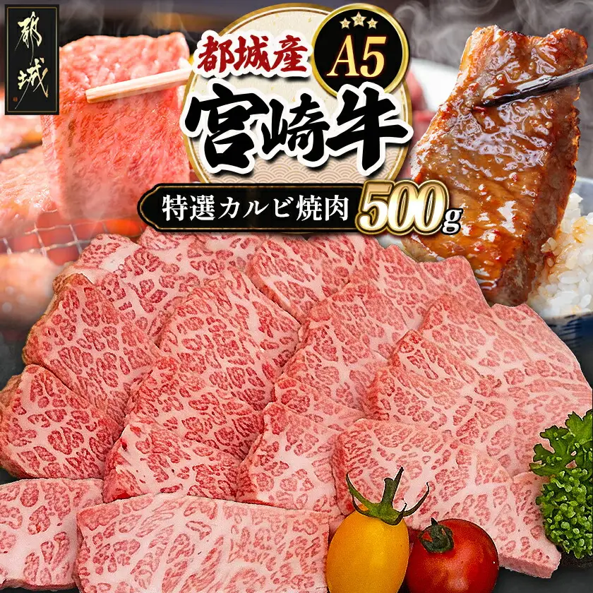 宮崎牛特選カルビ焼肉(A5)〔AD-A0-003〕_(都城市) 牛肉 A5等級の宮崎牛 特選カルビ焼肉 (500g) A5ランク 最高級の国産黒毛和牛 最上級の霜降り牛肉 焼き肉/バーベキュー/鉄板焼きにどうぞ 『内閣総理大臣賞』を受賞した生産者のお肉です!