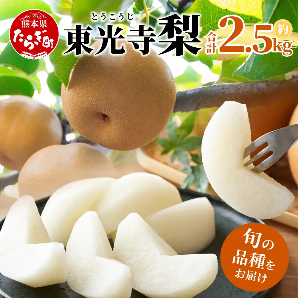【7月下旬～10月発送】東光寺 梨 2.5kg (5～7玉) 1箱 025-0573
