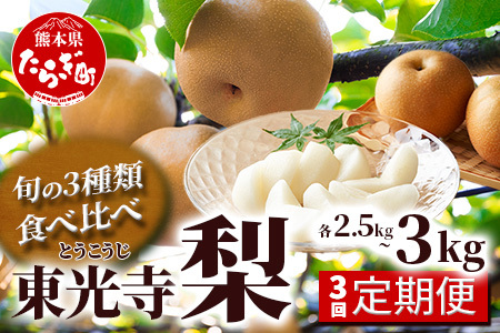先行予約【梨 3品種 定期便】東光寺 梨 2.5～3kg (5～7玉)×3回配送 完熟【2024年7月下旬～発送分】 フルーツ 定期便 なし ナシ 果物 夏 旬 幸水 豊水 秋月 新高 シャリシャリ 025-0574