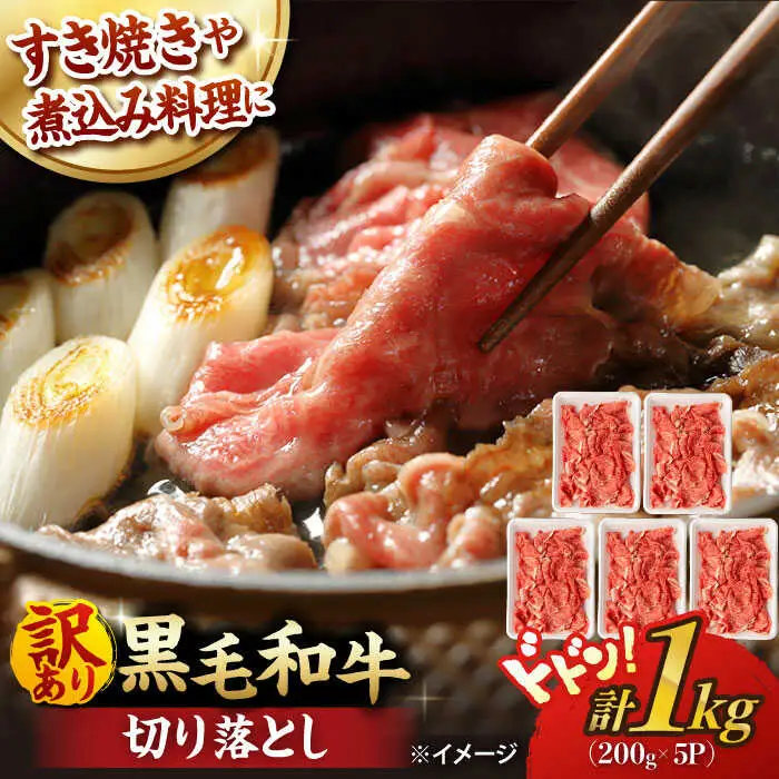 【訳あり】 切り落とし 1.0kg (200g×5) 長崎和牛 黒毛和牛  【夢ファームシュシュ】 [WF20] 肉 牛肉 しゃぶしゃぶ すき焼き 訳アリ ワケあり