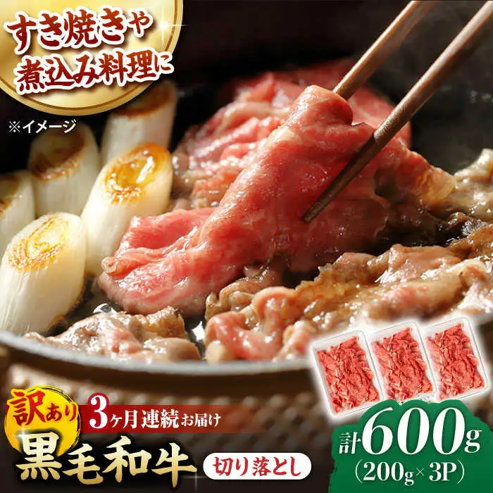 【第3回定期便】【訳あり】 切り落とし 600g 長崎和牛 黒毛和牛  【夢ファームシュシュ】 [WF35] 肉 牛肉 しゃぶしゃぶ すき焼き 訳アリ ワケあり 定期便 九州 九州産