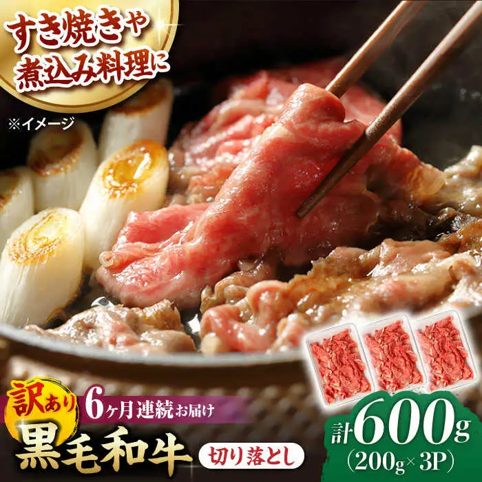 【第6回定期便】【訳あり】 切り落とし 600g 長崎和牛 黒毛和牛  【夢ファームシュシュ】 [WF36] 肉 牛肉 しゃぶしゃぶ すき焼き 訳アリ ワケあり 定期便