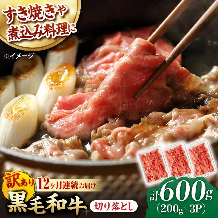 【第12回定期便】【訳あり】 切り落とし 600g 長崎和牛 黒毛和牛  【夢ファームシュシュ】 [WF37] 肉 牛肉 しゃぶしゃぶ すき焼き 訳アリ ワケあり 定期便