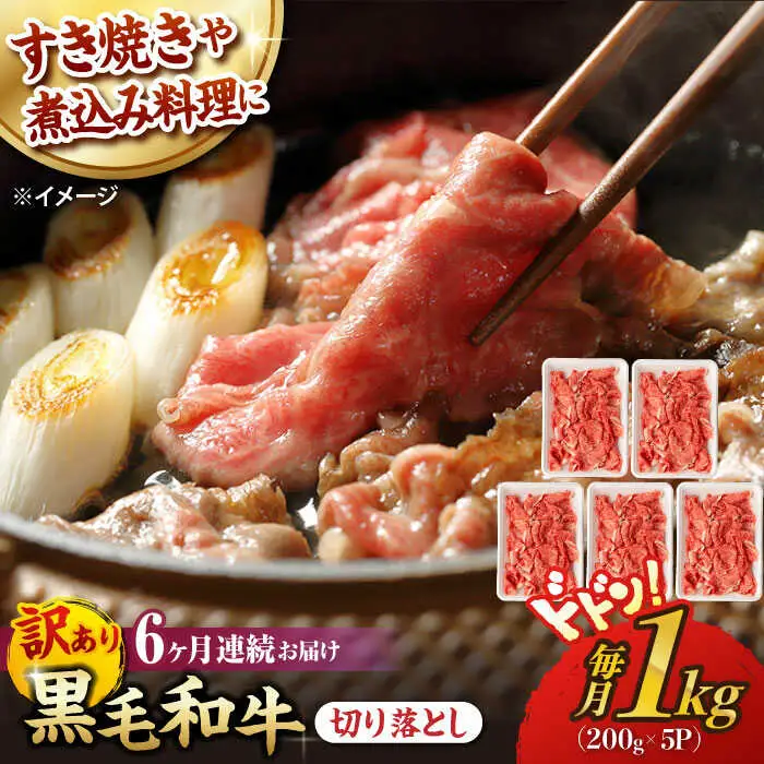 【第6回定期便】【訳あり】 切り落とし 1.0kg (200g×5) 長崎和牛 黒毛和牛 【夢ファームシュシュ】 [WF39] 肉 牛肉 しゃぶしゃぶ すき焼き 訳アリ ワケあり 定期便