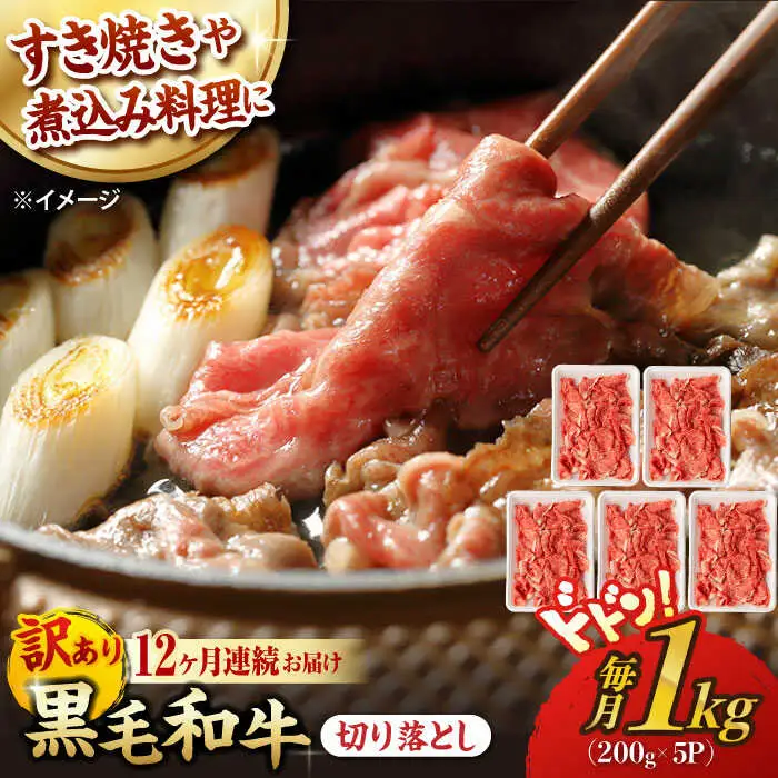 【第12回定期便】【訳あり】 切り落とし 1.0kg (200g×5) 長崎和牛 黒毛和牛 【夢ファームシュシュ】 [WF40] 肉 牛肉 しゃぶしゃぶ すき焼き 訳アリ ワケあり 定期便