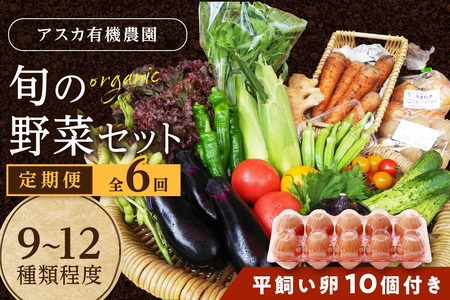 野菜 定期便 6回（卵付き）【アスカ有機農園】京の旬野菜セットL平飼い卵付き（栽培期間中農薬・化学肥料不使用）＜京都 オーガニック アクション加盟＞京野菜セット・野菜 詰め合わせ・栽培期間中 無農薬・有機野菜（オーガニック野菜）などのセット・玉子付き・京都 定期便・野菜 定期・野菜・やさい・京野菜・卵・たまご