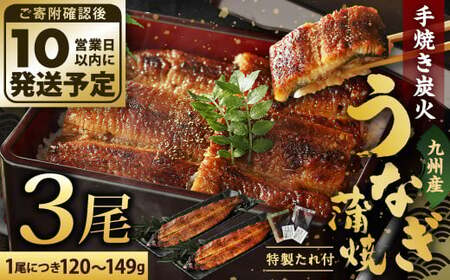 九州産 手焼き 炭火 うなぎ 蒲焼 3尾 計360g以上 (1尾あたり120～149g)