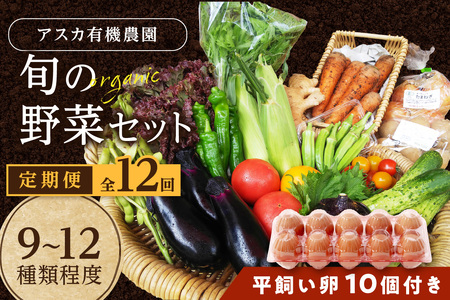 野菜 定期便 12回（卵付き）【アスカ有機農園】京の旬野菜セットL平飼い卵付き（栽培期間中農薬・化学肥料不使用）＜京都 オーガニック アクション加盟＞京野菜セット・野菜 詰め合わせ・栽培期間中 無農薬・有機野菜（オーガニック野菜）などのセット・玉子付き・京都 定期便・野菜 定期・京野菜・野菜・やさい・卵・たまご