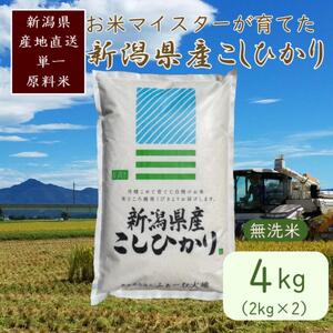 令和7年産 お米マイスターが育てた上越産コシヒカリ4kg(2kg×2)無洗米