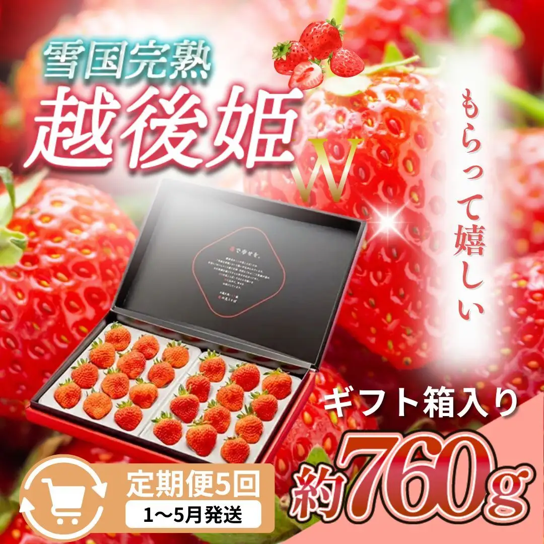 【先行予約 定期便5回】越後姫 いちご 雪国完熟 ダブル760g×5回 いちご