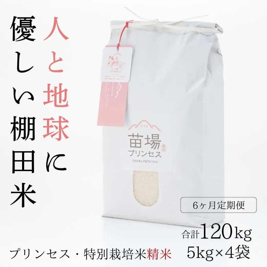 【令和8年産先行予約】【6ヶ月定期便】【農薬化学肥料5割減】魚沼コシヒカリ 苗場プリンセス 特別栽培米 精米 20kg(5kg×4袋)×6回 計120kg |津南町 コシヒカリ 定期便