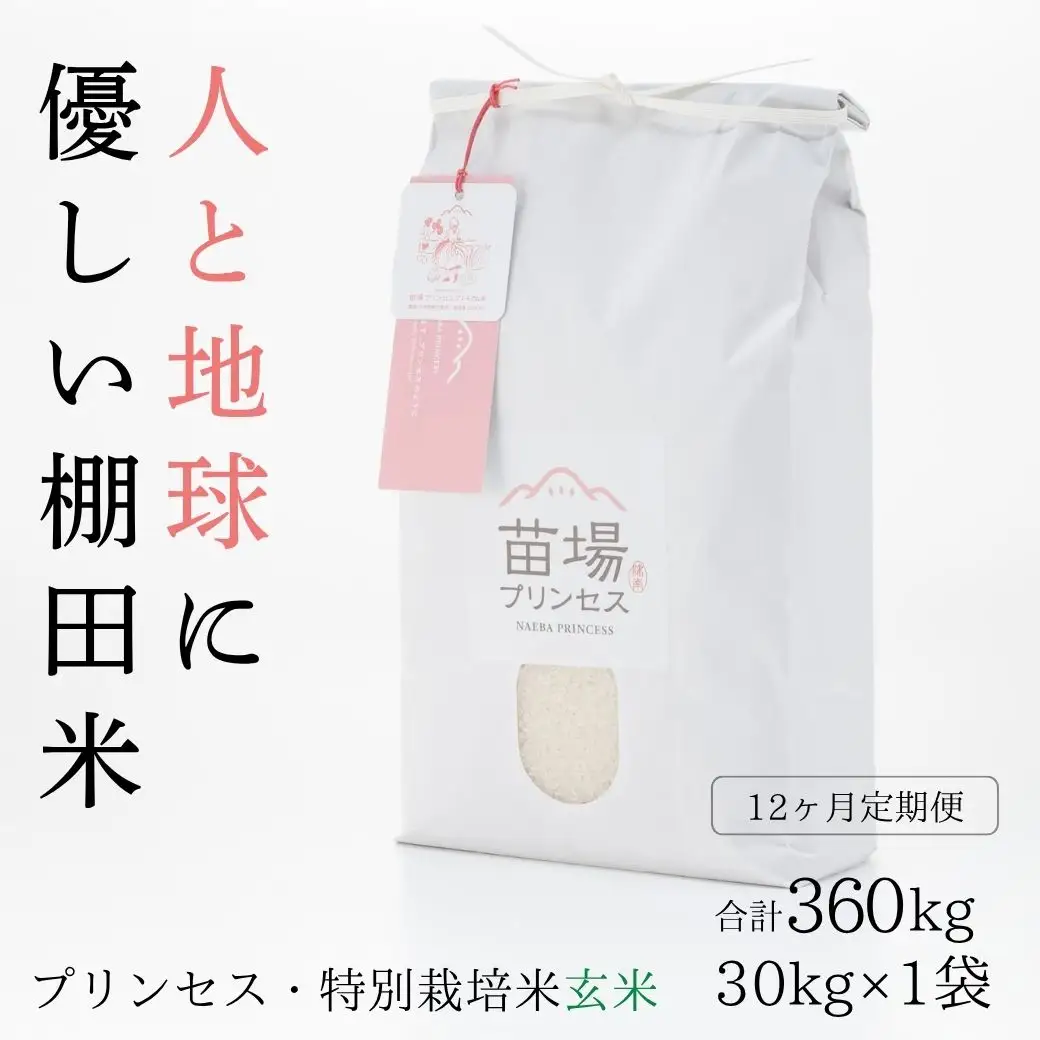 【令和8年産先行予約】【12ヶ月定期便】【農薬化学肥料5割減】魚沼コシヒカリ 苗場プリンセス 特別栽培米 玄米 30kg(10kg×3袋)×12回 計360kg |津南町 コシヒカリ 定期便