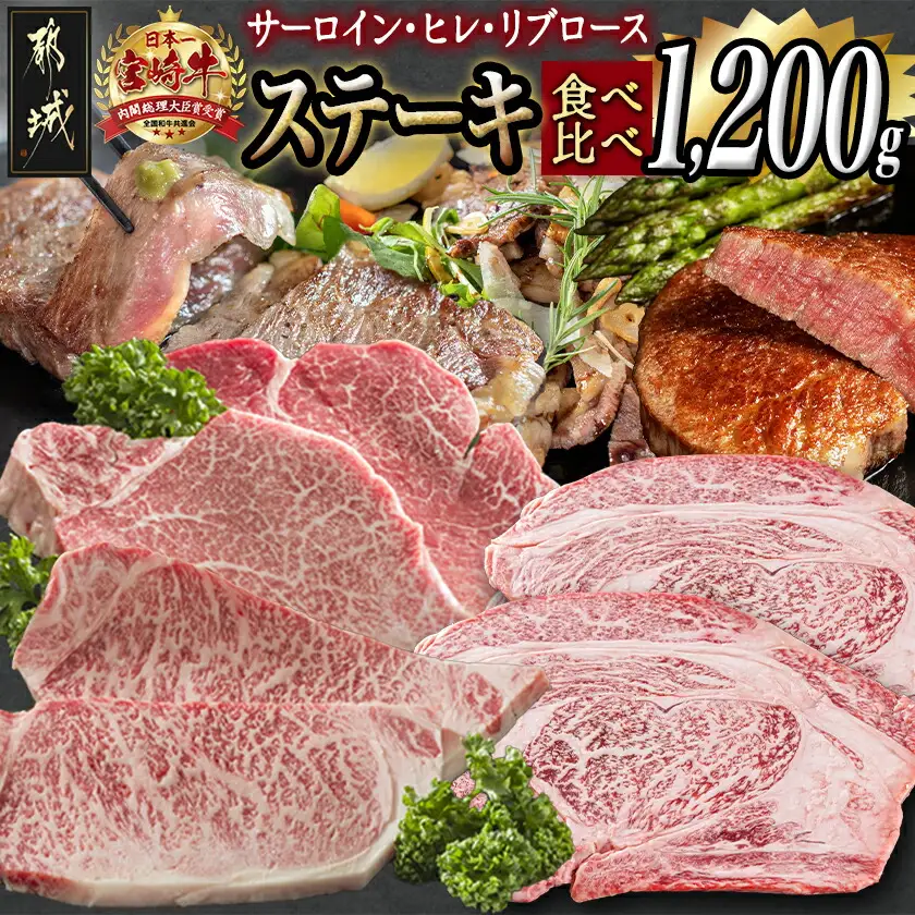 総重量1,200g！都城産宮崎牛ステーキ食べ比べセット〔MM-0101〕_(都城市) 牛肉 A5ランク サーロインステーキ 200g×2枚 ヒレステーキ 100g×2枚 リブロースステーキ 300g×2枚 ギフト 贈答用