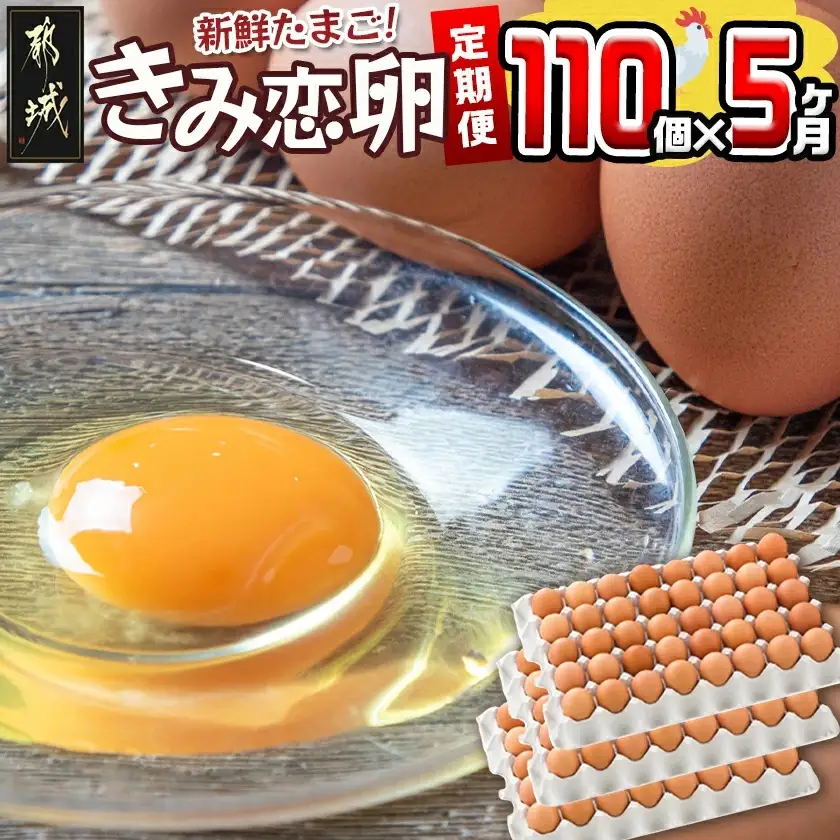 「きみ恋卵」110個定期便(5ヶ月)〔T85-5-29-011-110〕_(都城市) 赤卵 きみ恋卵 Ｍサイズ 110個 約6.5kg
