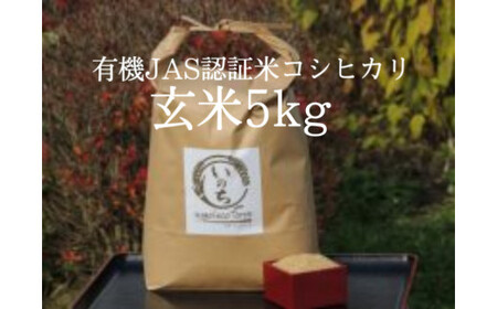 有機JAS認証米コシヒカリ玄米５kg　【07208-0246】