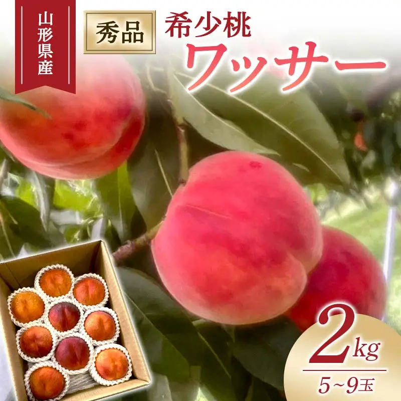 【2026年度先行予約】希少桃 ワッサー 2kg 5玉～9玉 FSY-1026
