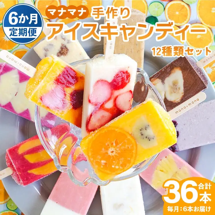 アイス 【全6回定期便】12種類のアイス 各月6本入 Wys-0023