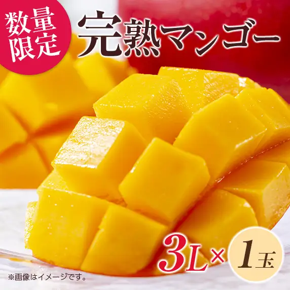 オンライン決済限定 数量限定 完熟マンゴー 3L×1玉 フルーツ 果物 くだもの 国産_C166-26