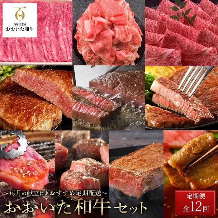 【定期便全12回】おおいた和牛豪華コース ～毎月の食卓に♪１年間連続お届け～