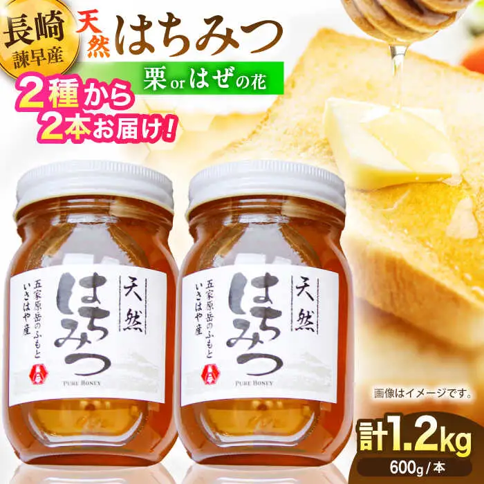 長崎県産天然はちみつ600g(2本セット) / 百花蜜 百花蜂蜜 蜂蜜 はちみつ ハチミツ / 諫早市 / 坂口養蜂 [AHDB001]