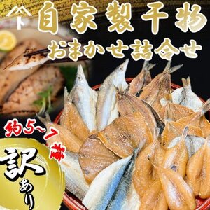 ＜訳あり＞自家製干物おまかせ詰合せ 約5?7種