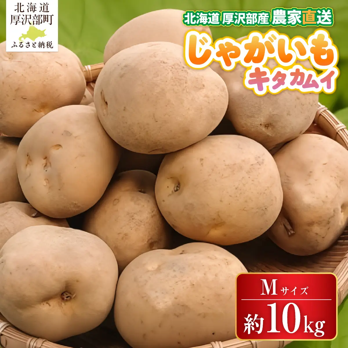 【2026年9月下旬より発送】北海道厚沢部町産 キタカムイ 10kg【Mサイズ】 ASO033