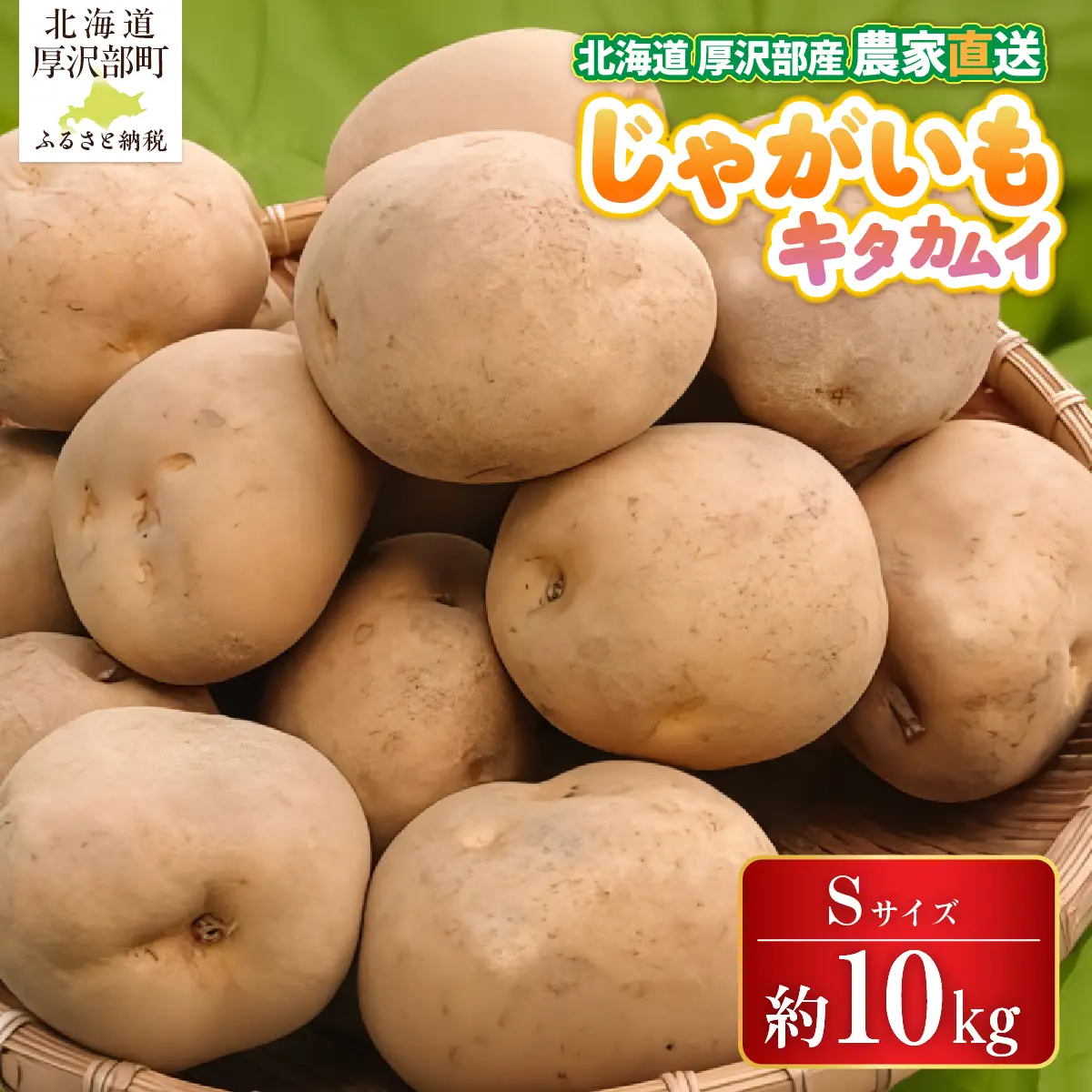 【2026年9月下旬より発送】北海道厚沢部町産 キタカムイ 10kg【Sサイズ】 ASO034