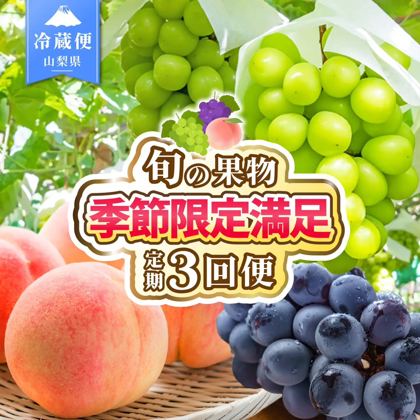 【2026年発送 先行予約】3回定期便 旬のフルーツ定期便（桃2㎏・種無し黒葡萄2～3房・シャインマスカット2～3房）180-024-26y