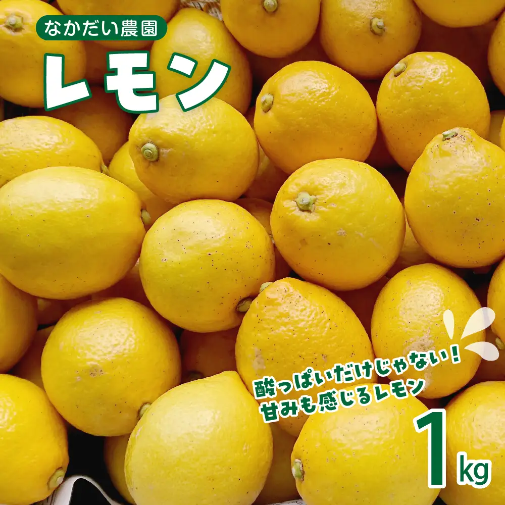 【先行受付】【2026年12月～発送】栽培期間中農薬不使用「レモン」 約1kg ku033-004-26