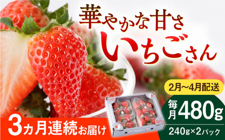【先行予約 2027年2月～発送】【3回定期便】いちごさん 240g×2パック いちご