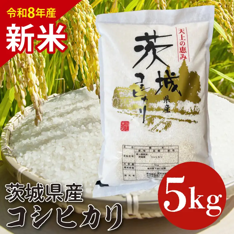 【10月以降順次発送】【令和8年産】茨城県産コシヒカリ 5kg 新米  (HQ-91)