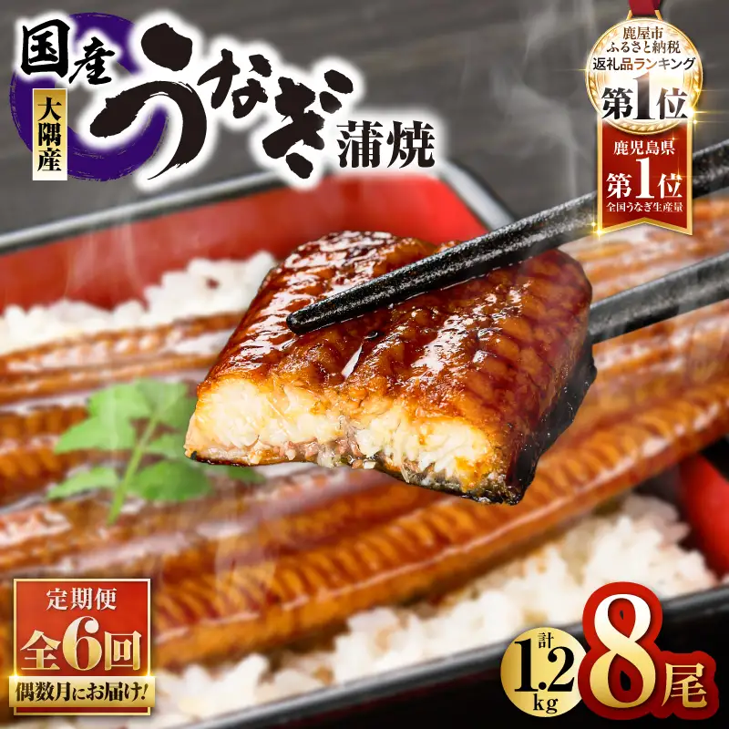 2083-1 鹿児島県 大隅産 うなぎ 蒲焼 8尾（ 1.2kg ）【 6ヶ月 定期 】 KN007-T05 魚 冷凍 鰻