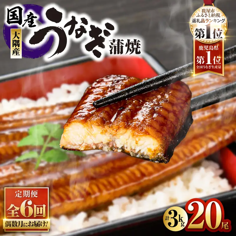 2084-1 鹿児島県 大隅産 うなぎ 蒲焼 20尾（ 3kg ）【 6ヶ月 定期 】 KN007-T06 魚 冷凍 鰻