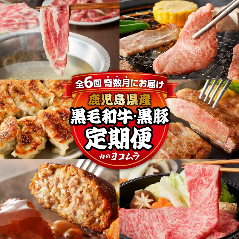 【全6回】「 肉のヨコムラ 」鹿児島県産 黒毛和牛 ・ 黒豚 定期便 （奇数月にお届け） K189-T01 肉 豚肉 牛肉 冷凍