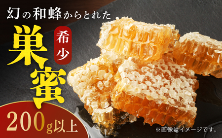 対馬 ニホンミツバチ 巣蜜 はちみつ 稀少 蜂蜜 ハチミツ [WAM022]