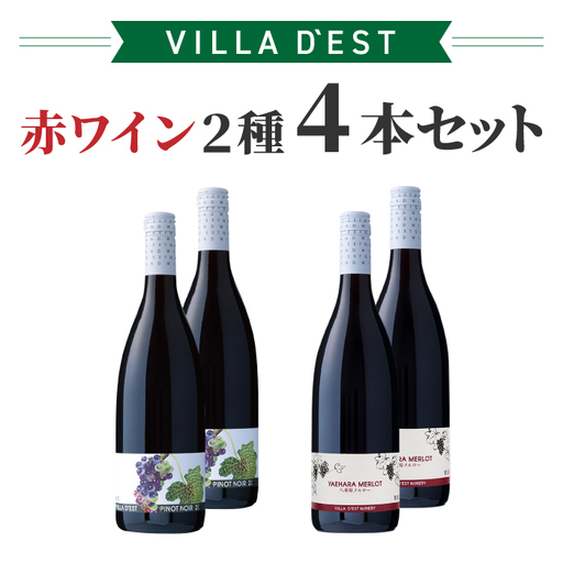 赤ワイン 2種 4本セット（ピノ・ノワール & 八重原 メルロー