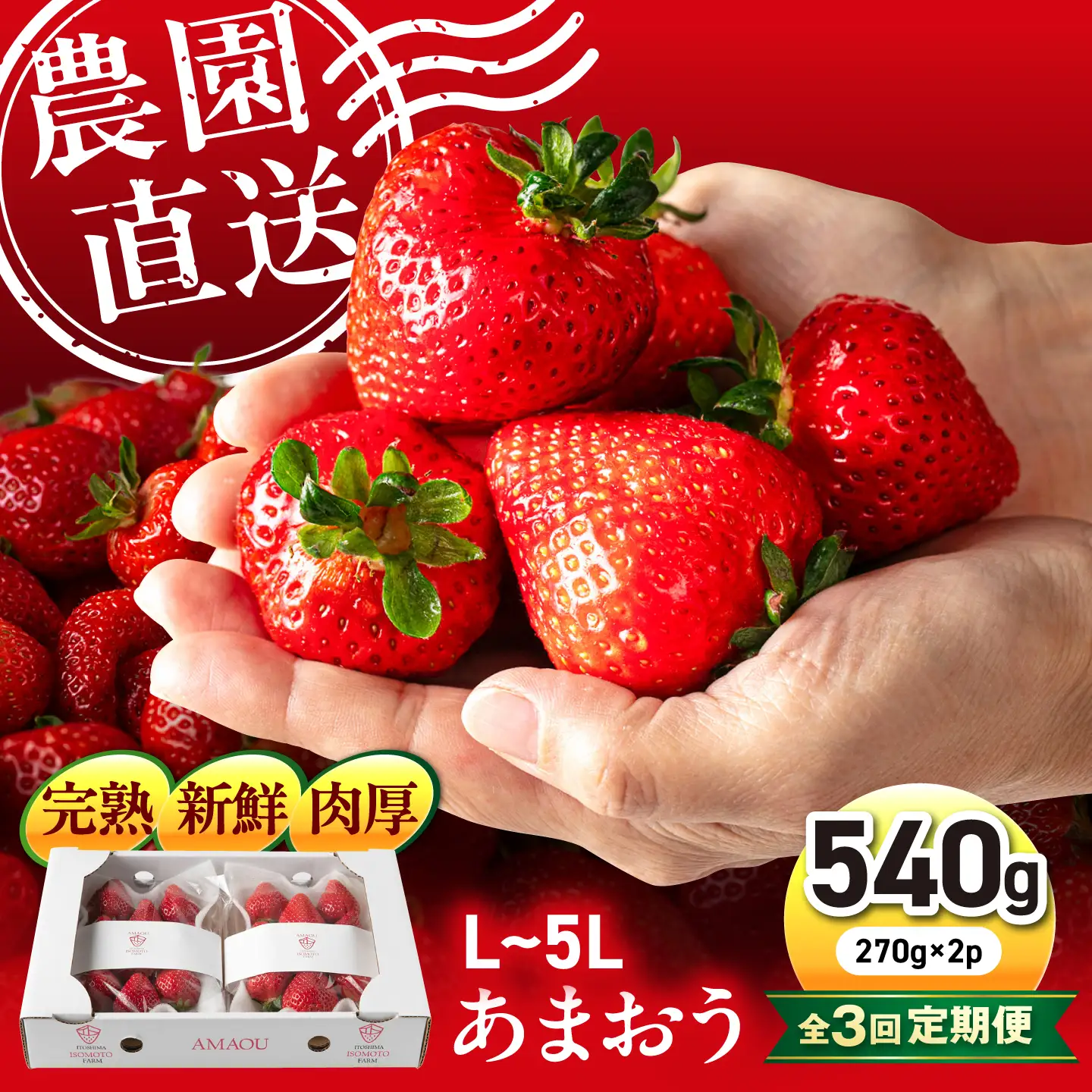 【月1回・全3回定期便】糸島 あまおう 270g×2パック  (A品B品含むL〜5L) 糸島市 / 磯本農園 / TANNAL [ATB009] いちご 苺 イチゴ ランキング 上位 人気 おすすめ あまおう定期便