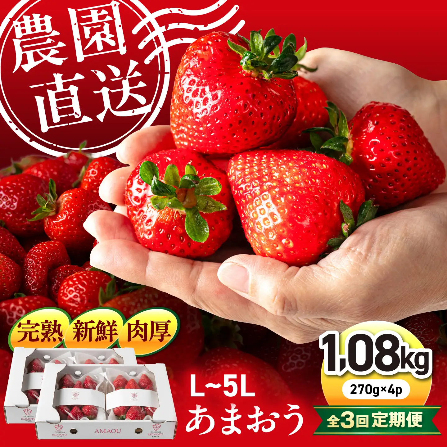 【月1回・全3回定期便】糸島 あまおう 270g×4パック 【2027年1月〜3月にて順次発送】 (A品B品含むL?5L) 糸島市 / 磯本農園 / TANNAL イチゴ/いちご [ATB011] ランキング 上位 人気 おすすめ