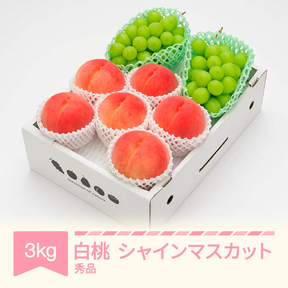 白桃＆シャインマスカット詰め合わせ 約3kg 2026年産 ns-fshsx3