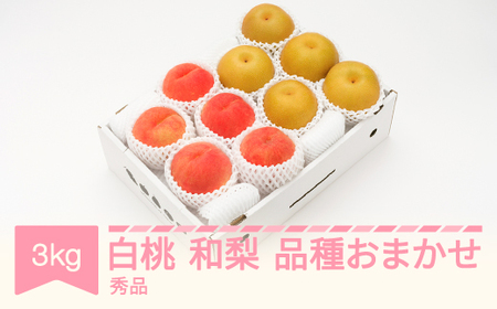 先行予約 白桃 秀品＆和梨 品種おまかせ 詰め合わせ 約3kg 令和8年産 2026年産 果物 フルーツ 桃 送料無料 ns-fshnx3 ※沖縄・離島への配送不可