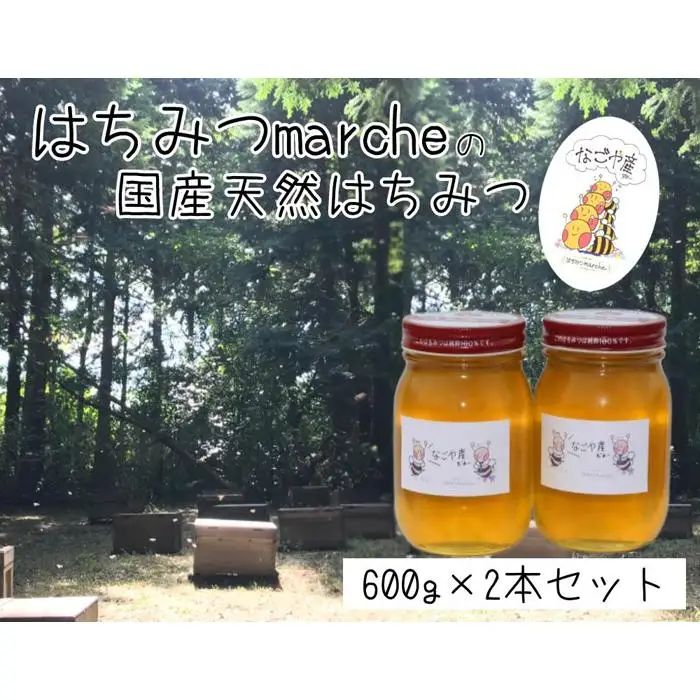 なごやの天然はちみつ瓶600ｇ×2本セット