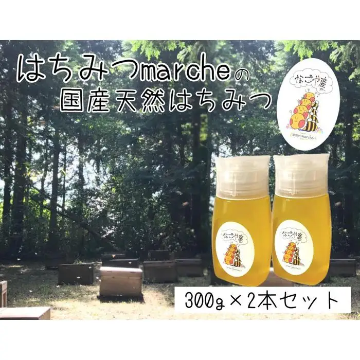 なごやの天然はちみつボトル300g×2本セット