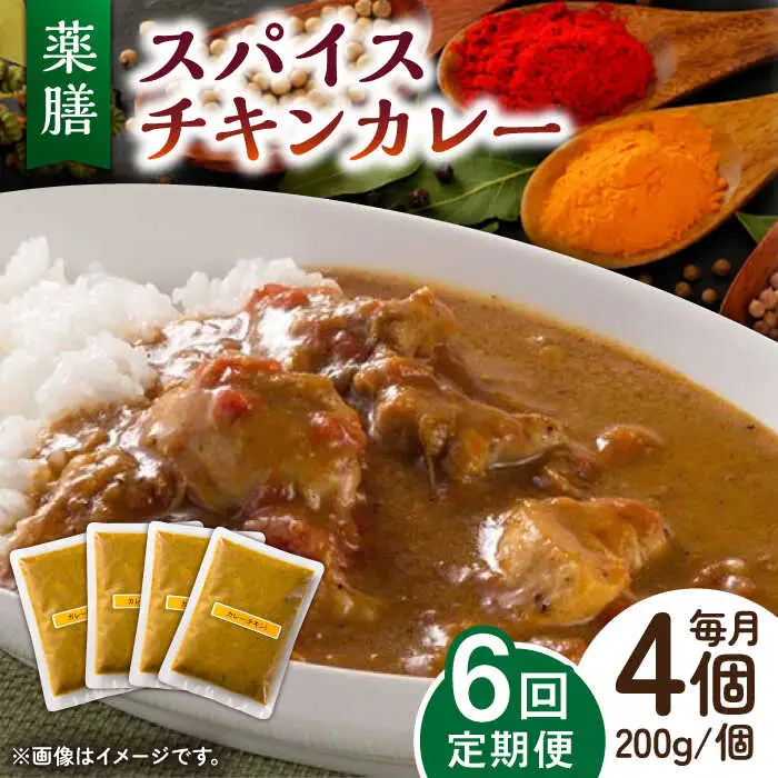 【6回定期便】薬膳スパイスチキンカレー 4食 /自然庵 [UCQ005] カレー