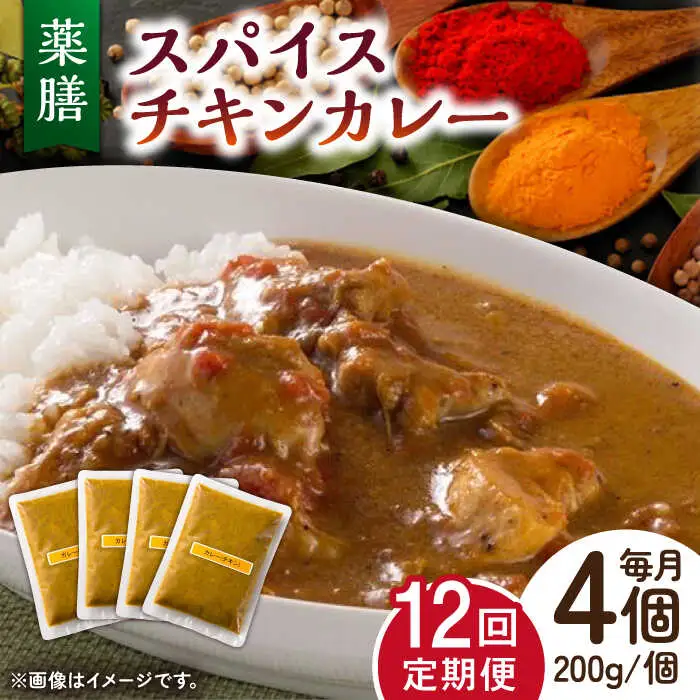 【12回定期便】薬膳スパイスチキンカレー 4食 /自然庵 [UCQ006] カレー