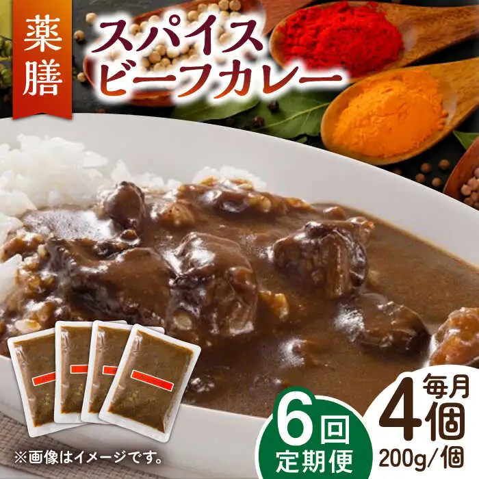 【6回定期便】薬膳スパイスビーフカレー 4食 /自然庵 [UCQ008] カレー