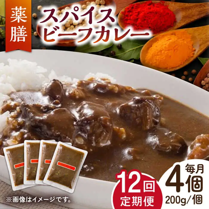 【12回定期便】薬膳スパイスビーフカレー 4食 /自然庵 [UCQ009] カレー